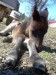 DSCN2425.JPG